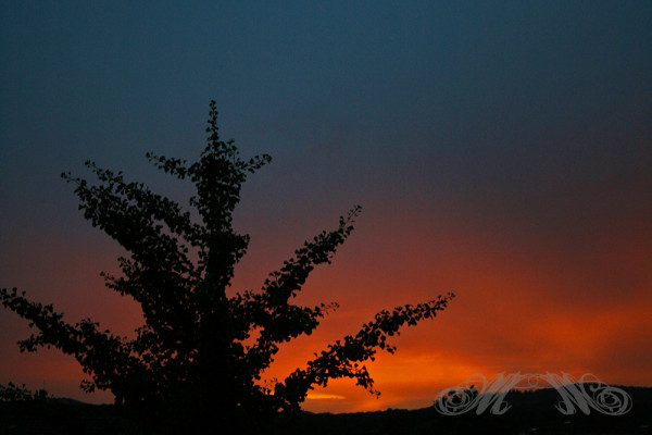 Sonnenuntergang über dem Taunus (August 2013)